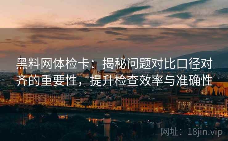 黑料网体检卡：揭秘问题对比口径对齐的重要性，提升检查效率与准确性